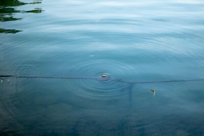 Link to: /stress-relief-massage-in-langford