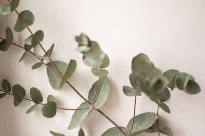 Link to: /effective-pain-relief-in-colwood