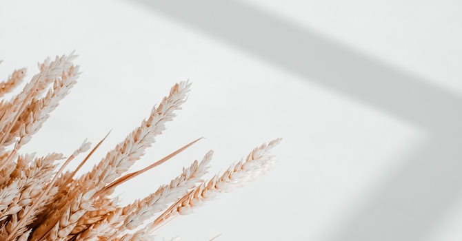 Prenatal Massage in Victoria: What to Expect and How It Benefits Pregnancy