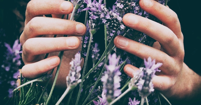 Prenatal Massage in Victoria: What to Expect and How It Benefits Pregnancy image